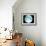 Telescope Photo of Full Moon From Earth-Dr. Fred Espenak-Framed Photographic Print displayed on a wall