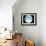 Telescope Photo of Full Moon From Earth-Dr. Fred Espenak-Framed Photographic Print displayed on a wall