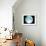 Telescope Photo of Full Moon From Earth-Dr. Fred Espenak-Framed Photographic Print displayed on a wall