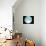 Telescope Photo of Full Moon From Earth-Dr. Fred Espenak-Mounted Photographic Print displayed on a wall