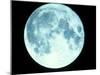 Telescope Photo of Full Moon From Earth-Dr. Fred Espenak-Mounted Photographic Print