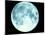 Telescope Photo of Full Moon From Earth-Dr. Fred Espenak-Mounted Photographic Print