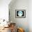 Telescope Photo of Full Moon From Earth-Dr. Fred Espenak-Framed Photographic Print displayed on a wall