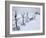 Telescope Viewers are Covered in Snow Overlooking Lighthouse Beach in Chatham, Massachusetts-null-Framed Photographic Print