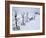 Telescope Viewers are Covered in Snow Overlooking Lighthouse Beach in Chatham, Massachusetts-null-Framed Photographic Print