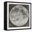 Telescopic Appearance of the Moon 1833-null-Framed Premier Image Canvas