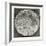 Telescopic Appearance of the Moon 1833-null-Framed Giclee Print