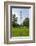 Television Tower, Planning Un Blomen Park, Hamburg, Germany, Europe-Axel Schmies-Framed Photographic Print