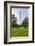 Television Tower, Planning Un Blomen Park, Hamburg, Germany, Europe-Axel Schmies-Framed Photographic Print