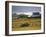 Telgruc-Sur-Mer, Crozon Peninsula, Finistere, Brittany, France-David Hughes-Framed Photographic Print