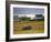 Telgruc-Sur-Mer, Crozon Peninsula, Finistere, Brittany, France-David Hughes-Framed Photographic Print