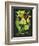 Telipogon Caulescens II-Melissa Wang-Framed Premium Giclee Print