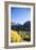 Telluride, Colorado-Justin Bailie-Framed Photographic Print