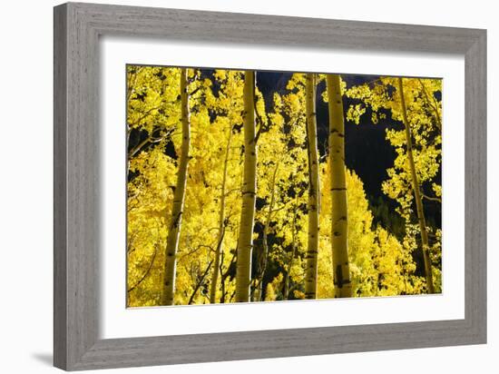 Telluride, Colorado-Justin Bailie-Framed Photographic Print