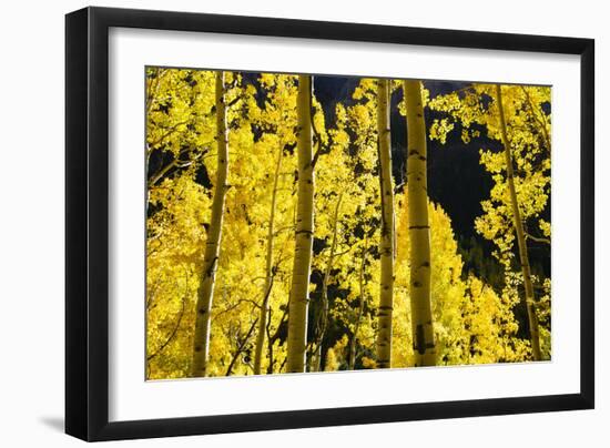 Telluride, Colorado-Justin Bailie-Framed Photographic Print