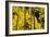 Telluride, Colorado-Justin Bailie-Framed Photographic Print