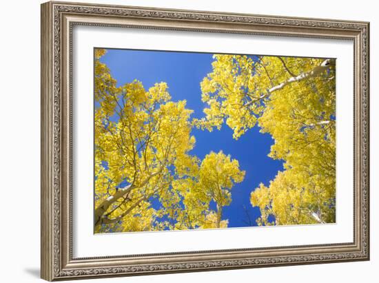 Telluride, Colorado-Justin Bailie-Framed Photographic Print