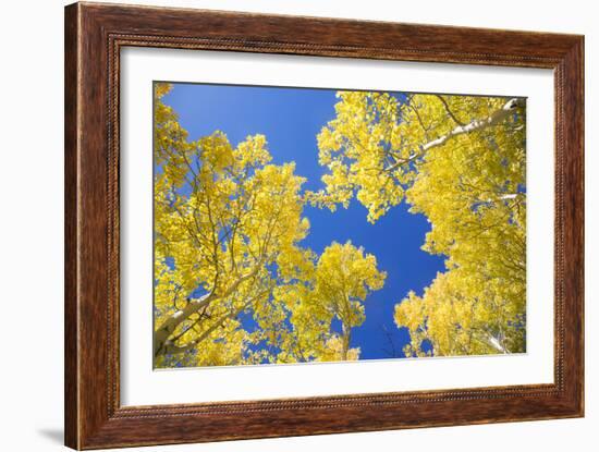 Telluride, Colorado-Justin Bailie-Framed Photographic Print