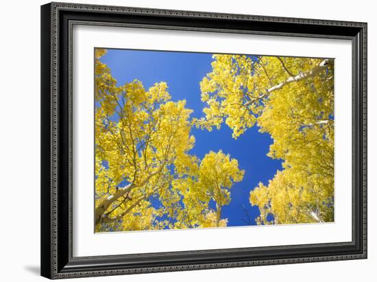 Telluride, Colorado-Justin Bailie-Framed Photographic Print