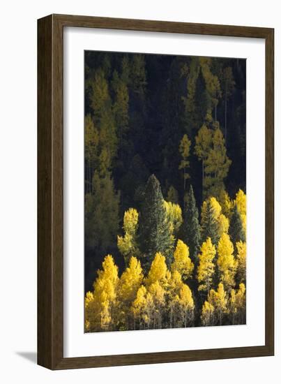 Telluride, Colorado-Justin Bailie-Framed Photographic Print