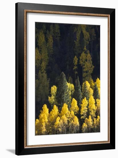 Telluride, Colorado-Justin Bailie-Framed Photographic Print