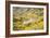 Telluride, Colorado-Justin Bailie-Framed Photographic Print