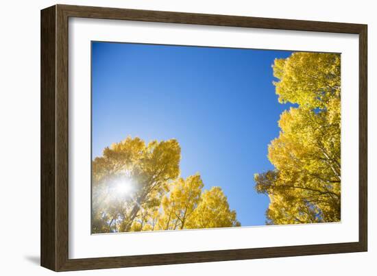 Telluride, Colorado-Justin Bailie-Framed Photographic Print