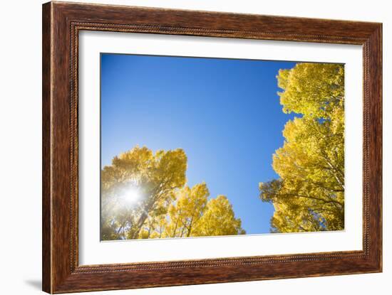 Telluride, Colorado-Justin Bailie-Framed Photographic Print