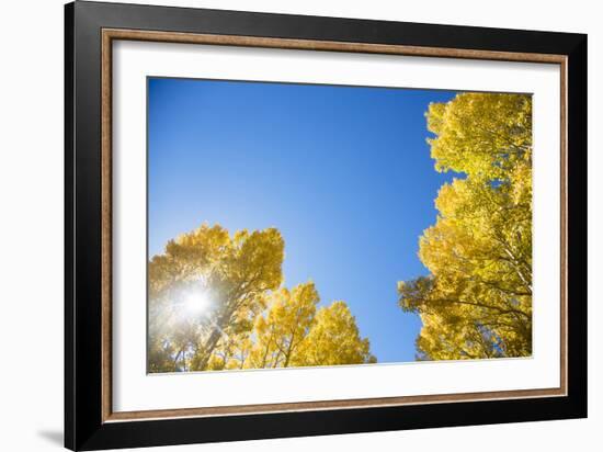 Telluride, Colorado-Justin Bailie-Framed Photographic Print