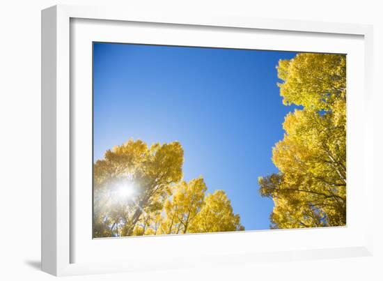 Telluride, Colorado-Justin Bailie-Framed Photographic Print