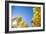 Telluride, Colorado-Justin Bailie-Framed Photographic Print