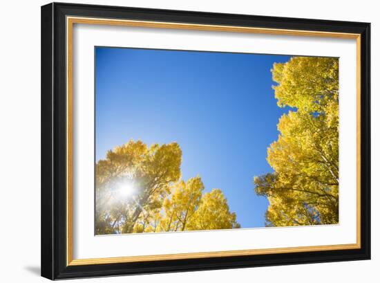 Telluride, Colorado-Justin Bailie-Framed Photographic Print