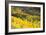 Telluride, Colorado-Justin Bailie-Framed Photographic Print