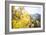 Telluride, Colorado-Justin Bailie-Framed Photographic Print