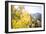 Telluride, Colorado-Justin Bailie-Framed Photographic Print