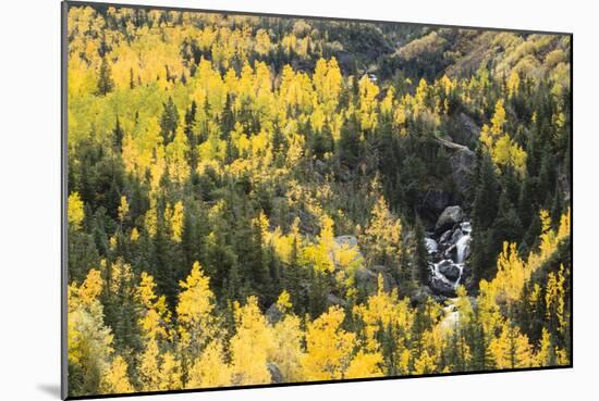 Telluride, Colorado-Justin Bailie-Mounted Photographic Print