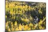 Telluride, Colorado-Justin Bailie-Mounted Photographic Print