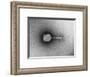 TEM of Single T4 Bacteriophage-M. Wurtz-Framed Giclee Print