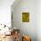 TEM T4 Bacteriophage-M. Wurtz-Photographic Print displayed on a wall