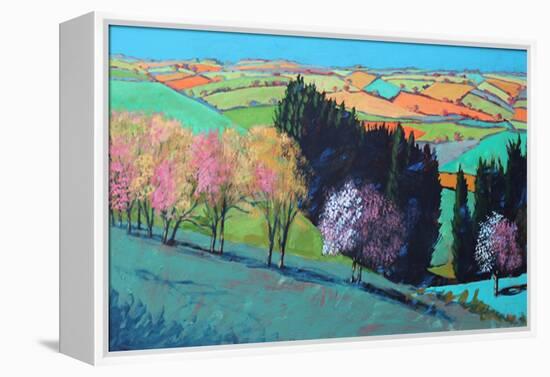 Teme Valley Blossom (Acrylic on Board)-Paul Powis-Framed Premier Image Canvas