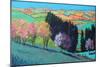 Teme Valley Blossom (Acrylic on Board)-Paul Powis-Mounted Giclee Print