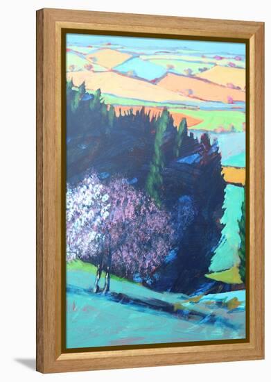 Teme Valley Blossom close up 1 (Acrylic on Board)-Paul Powis-Framed Premier Image Canvas