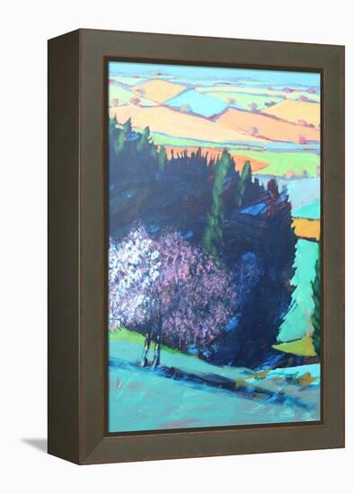 Teme Valley Blossom close up 1 (Acrylic on Board)-Paul Powis-Framed Premier Image Canvas