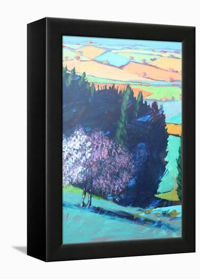 Teme Valley Blossom close up 1 (Acrylic on Board)-Paul Powis-Framed Premier Image Canvas