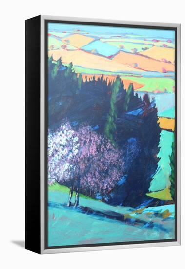 Teme Valley Blossom close up 1 (Acrylic on Board)-Paul Powis-Framed Premier Image Canvas