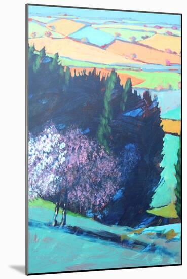 Teme Valley Blossom close up 1 (Acrylic on Board)-Paul Powis-Mounted Giclee Print