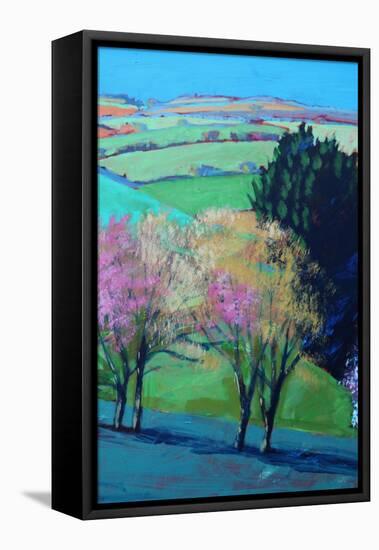 Teme Valley blossom close up 2-Paul Powis-Framed Premier Image Canvas