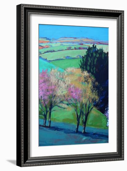 Teme Valley blossom close up 2-Paul Powis-Framed Giclee Print