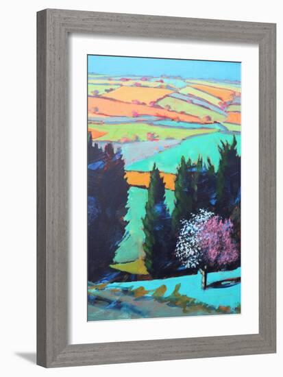 Teme Valley blossom close up-Paul Powis-Framed Giclee Print