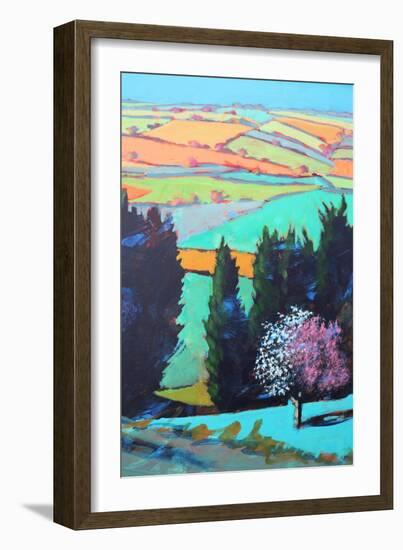 Teme Valley blossom close up-Paul Powis-Framed Giclee Print